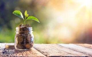 financial growth - money sprouting a seed